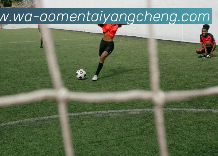 太阳城网站APP 高清赛事图